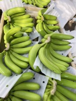 Cavendis Banana from Vietnam from Vietnam